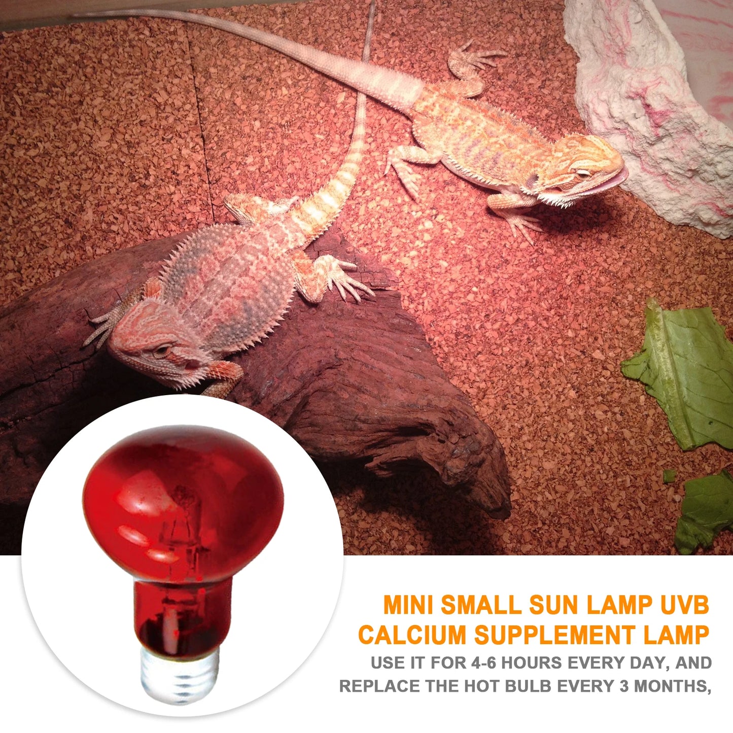 Adjustable UVA Reptile Heat Bulb and Lamp