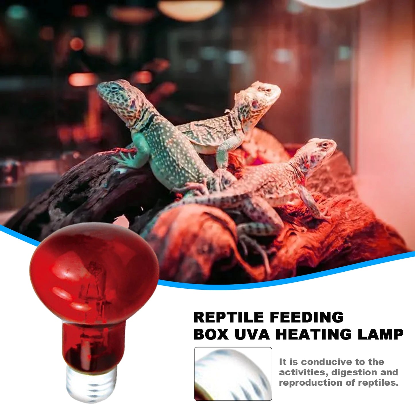 Adjustable UVA Reptile Heat Bulb and Lamp