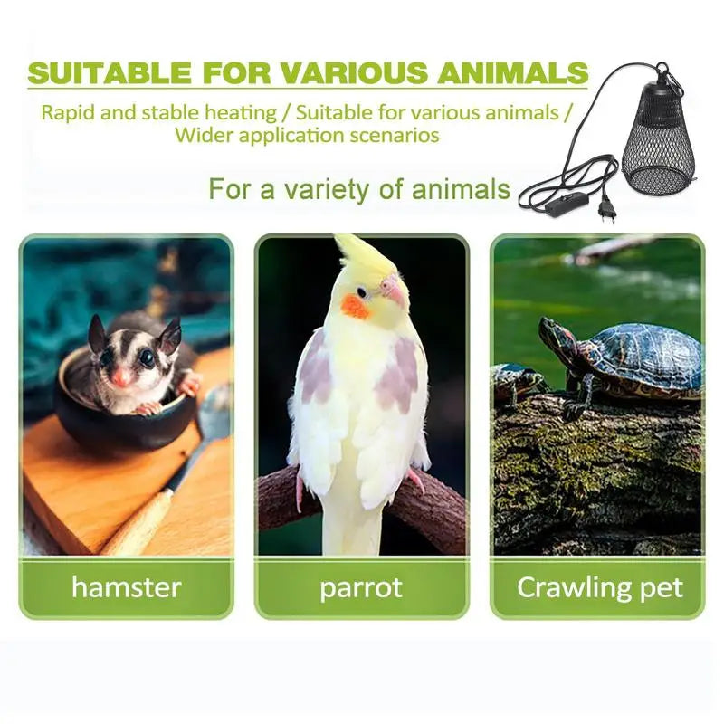 Pet Coop Heater Guard for Reptile