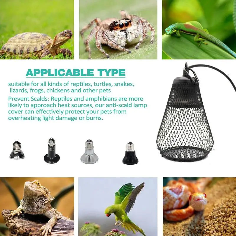 Pet Coop Heater Guard for Reptile