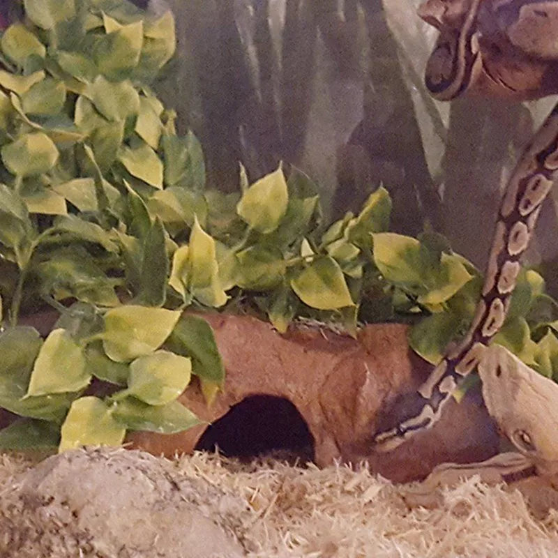 Decorative Reptile Terrarium Plant with Suction Cup