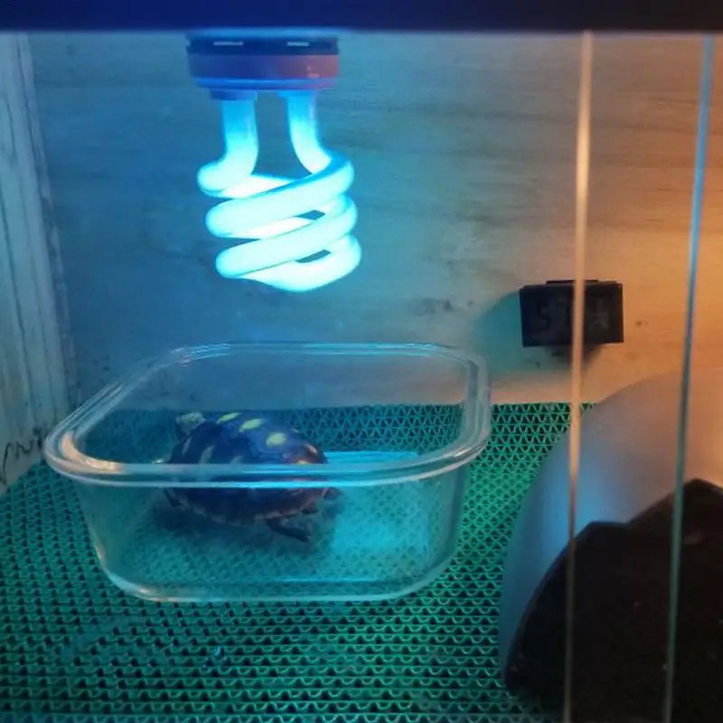 Reptile UVB 5.0 Lamp Bulb Energy