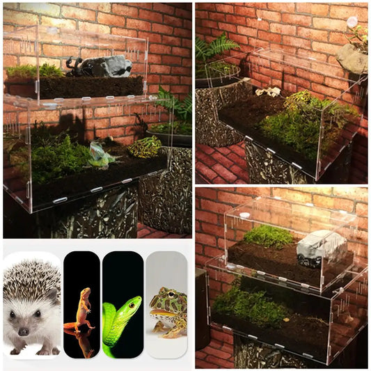 Durable Acrylic Terrarium for Reptile Pets