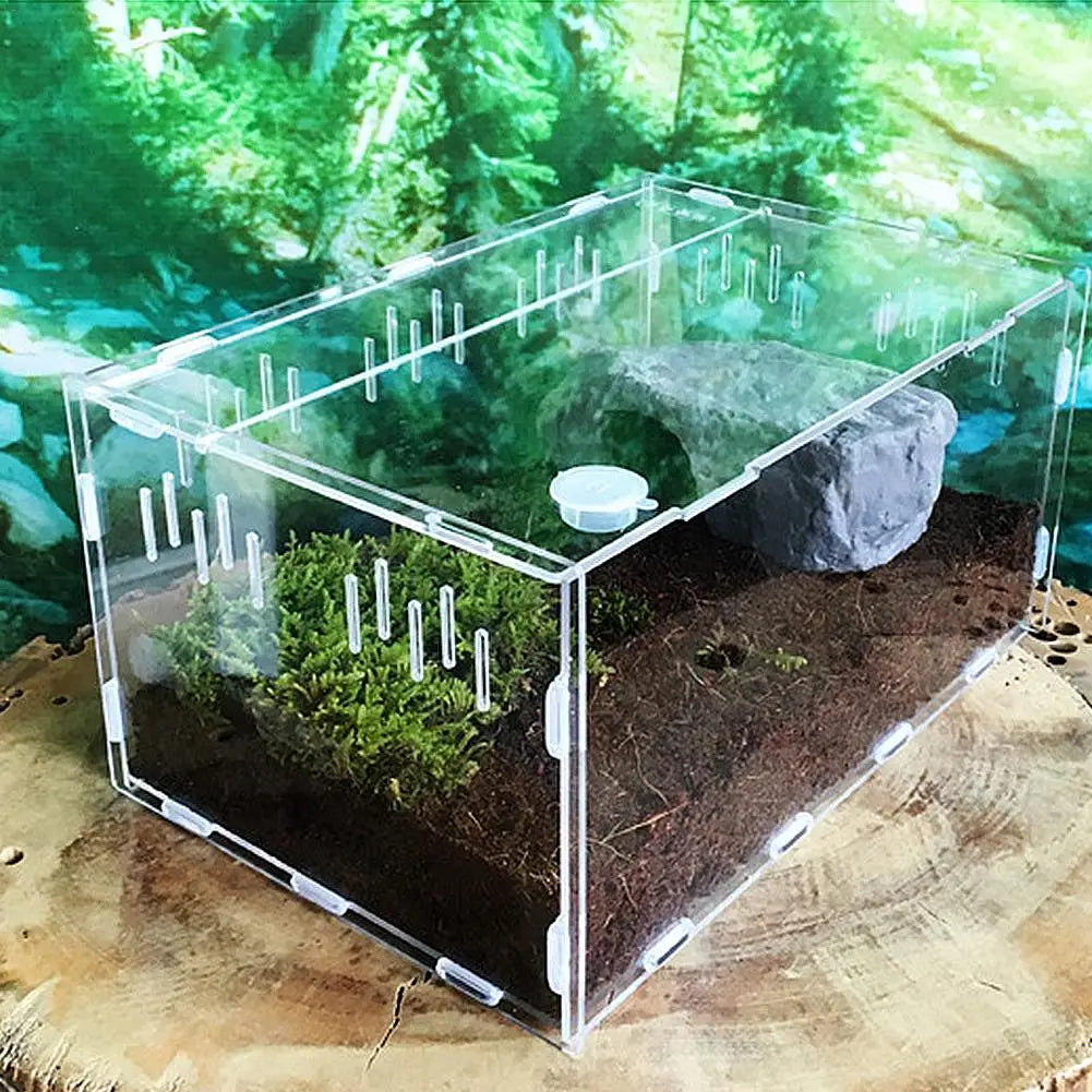 Durable Acrylic Terrarium for Reptile Pets