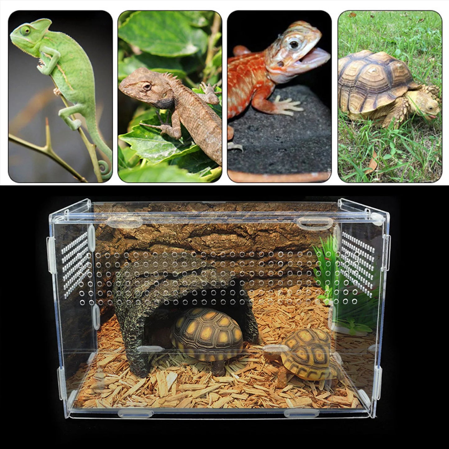 High Transparent Reptile Breeding Box Acrylic