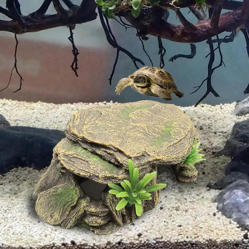 Amphibious Vivid Turtle Reptile Habitat Decoration