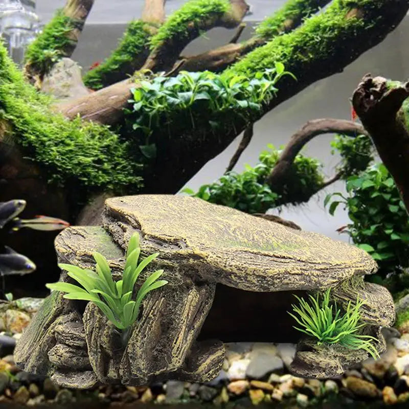 Amphibious Vivid Turtle Reptile Habitat Decoration