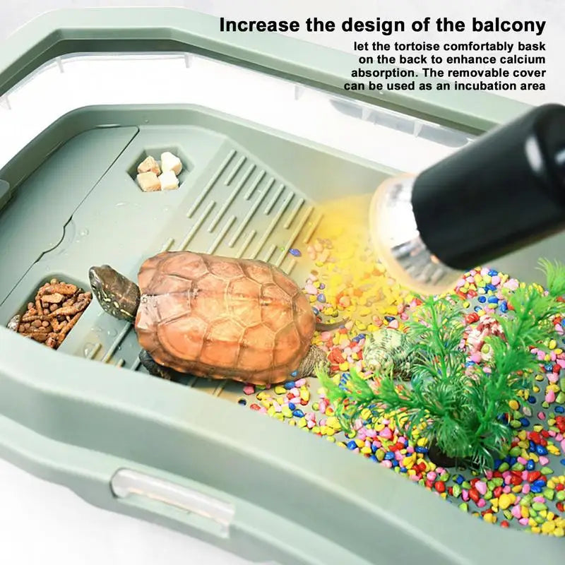 Baby Turtle Habitat with Lid and Anti-Slip