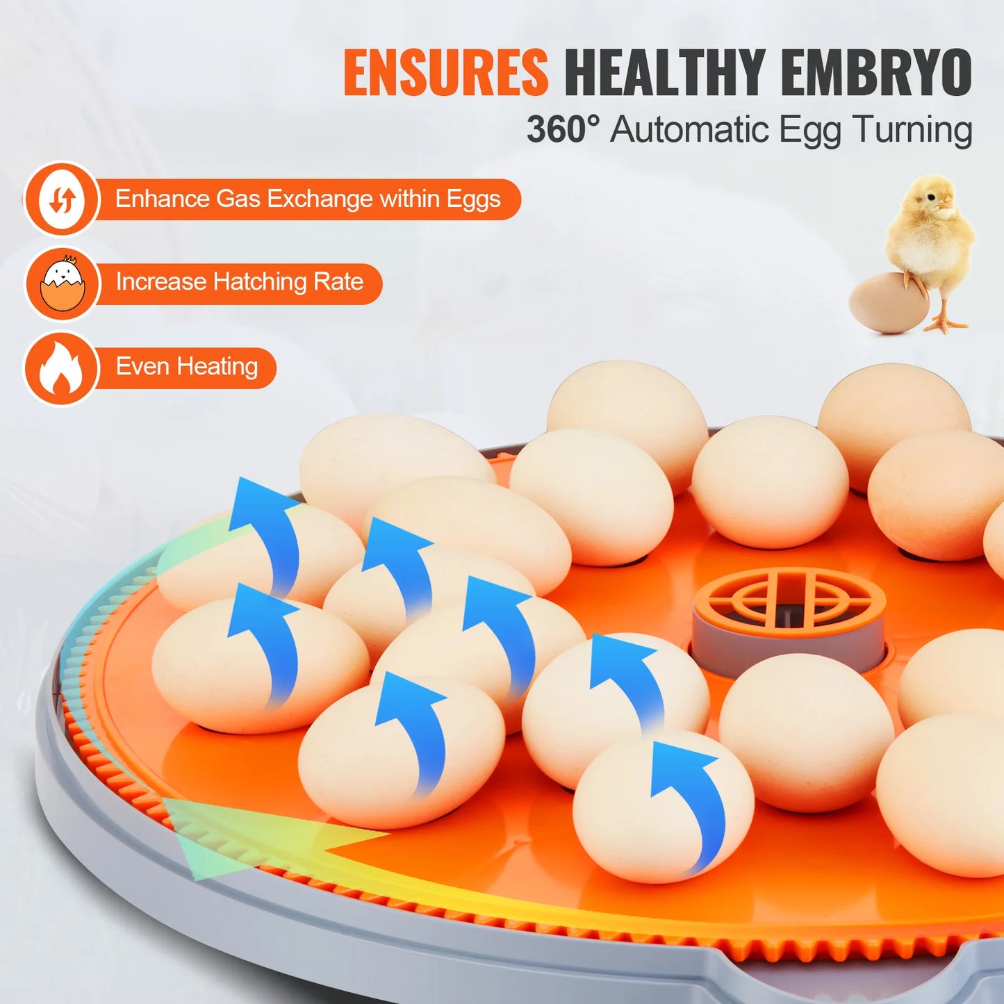 Automatic Egg Incubator with Temperature Control