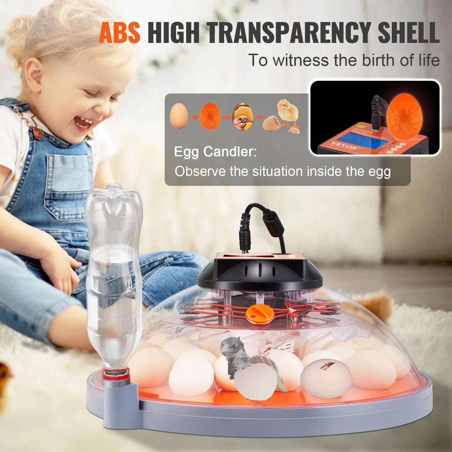 Automatic Egg Incubator with Temperature Control