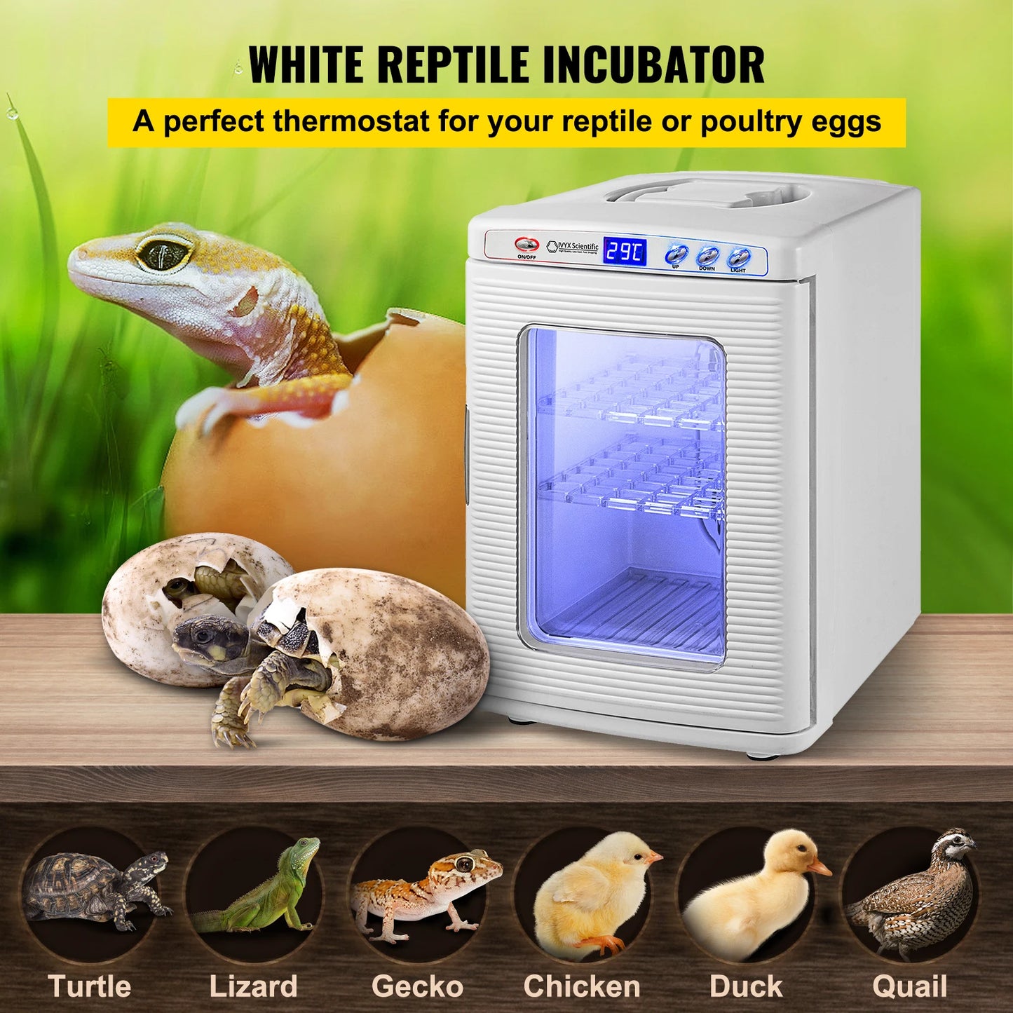 Scientific Lab Automatic Reptile Incubator Egg Breeding