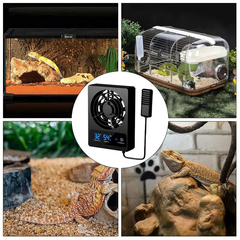 Smart Cooling Fan for Reptile Enclosure
