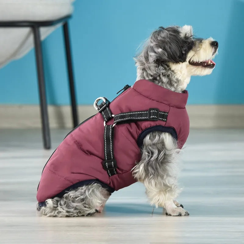 Warm Winter Dog Clothes with Harness