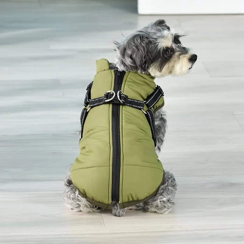 Warm Winter Dog Clothes with Harness