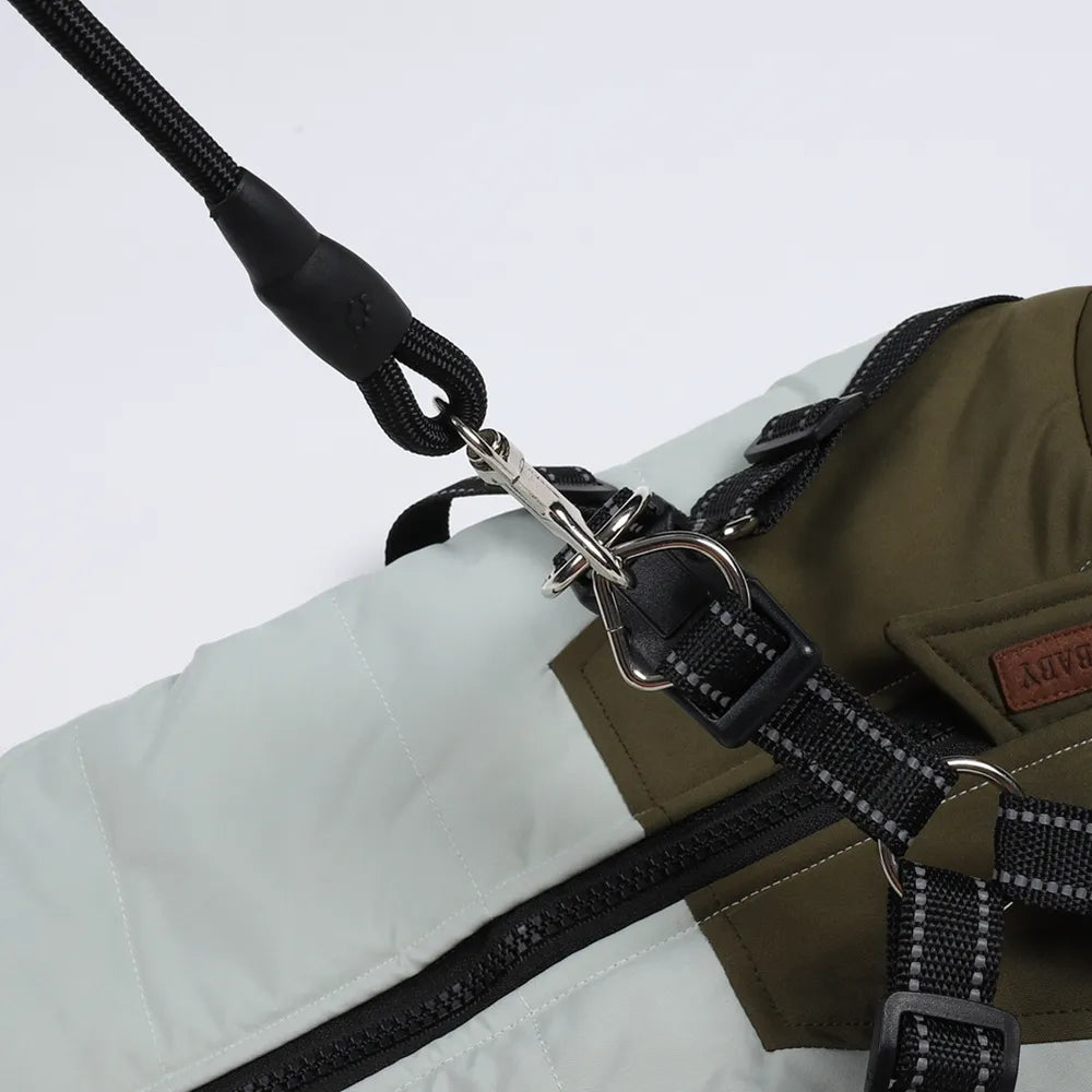 Winter Pet Dog Jacket with Harness Rope