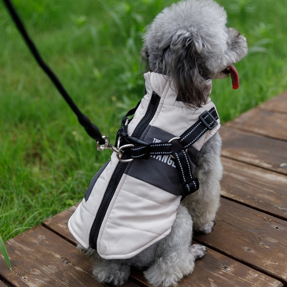 Winter Pet Dog Jacket with Harness Rope
