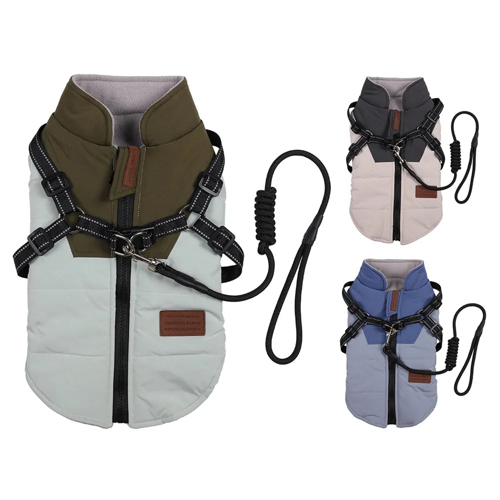 Winter Pet Dog Jacket with Harness Rope