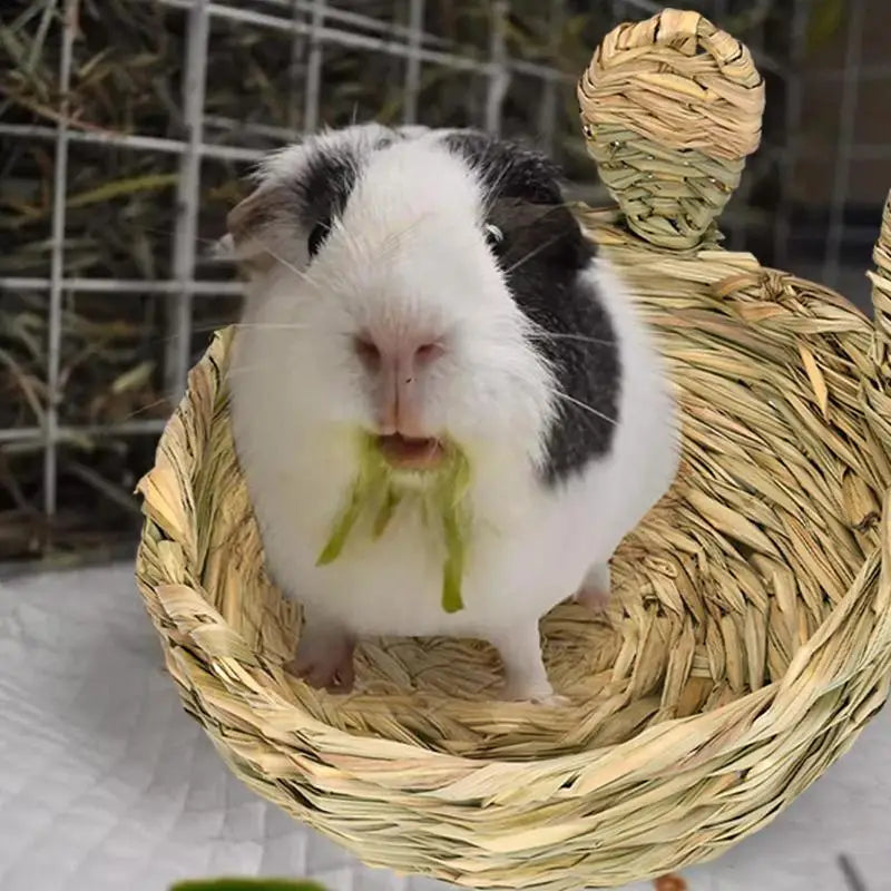 Small Pet House: Rabbit Hamster Guinea Pig Cage